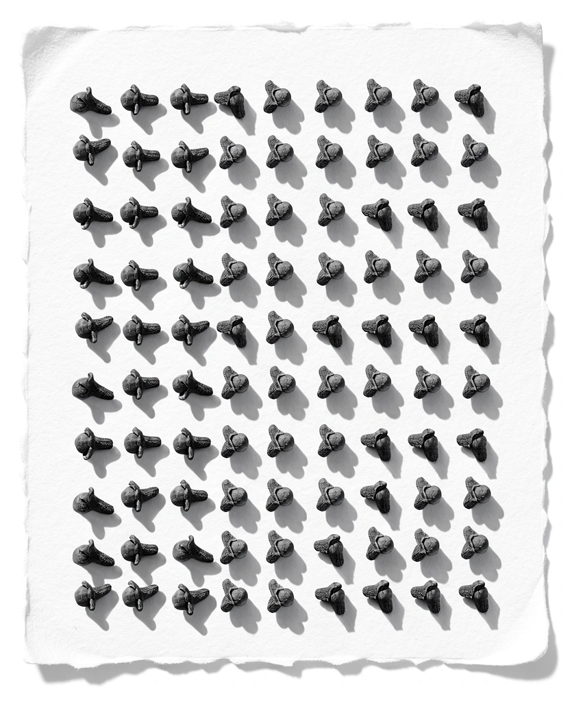 Spesimen Laboratorium Nutrisi